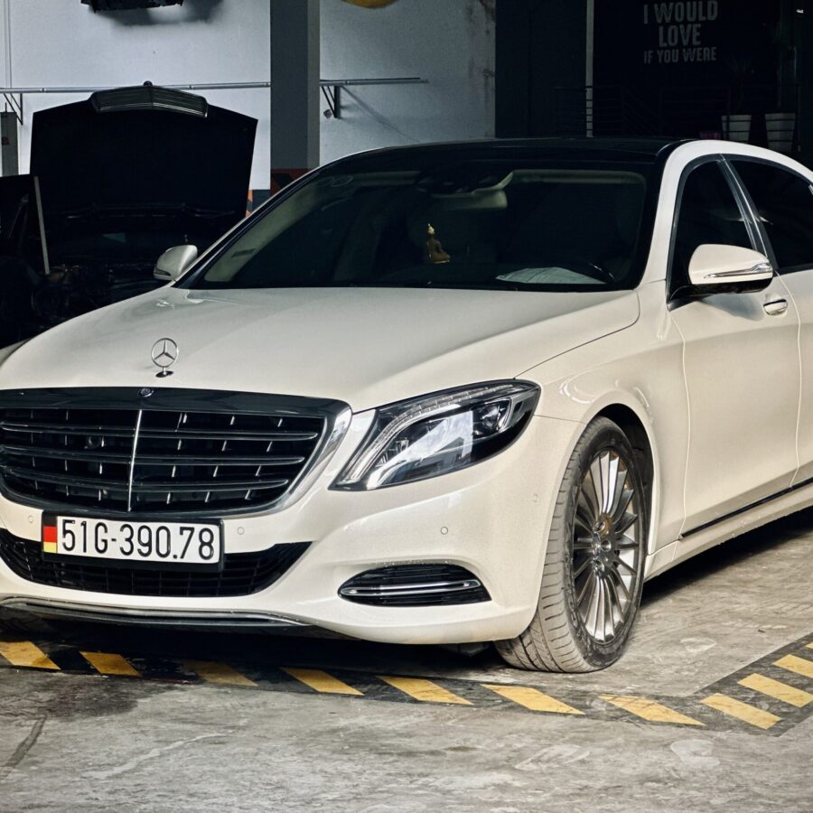 z5007858349403 31a673e9986d41056bc00a1970aa830c scaled